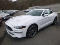 2019 Ford Mustang EcoBoost Fastback Photo 5