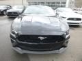 2019 Ford Mustang GT Fastback Photo 4