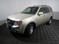2012 Ford Escape Limited V6 Photo 8
