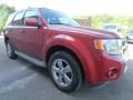2010 Ford Escape Limited V6 4WD Photo 1