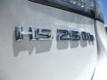 2010 Lexus HS 250h Hybrid Premium Photo 16