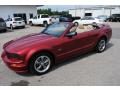 2006 Ford Mustang GT Premium Convertible Photo 9