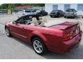 2006 Ford Mustang GT Premium Convertible Photo 10