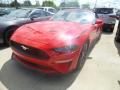 2019 Ford Mustang EcoBoost Convertible Photo 1