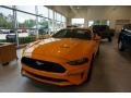 2019 Ford Mustang EcoBoost Fastback Photo 2