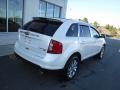 2011 Ford Edge Limited AWD Photo 10