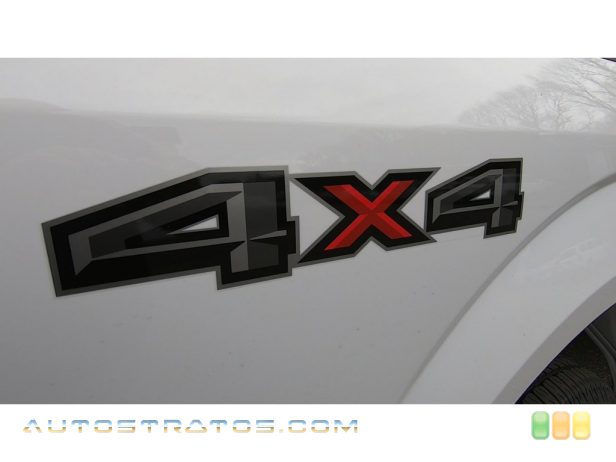2020 Ford F150 XL Regular Cab 4x4 5.0 Liter DOHC 32-Valve Ti-VCT E85 V8 10 Speed Automatic
