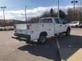 2020 Ford F250 Super Duty XL Crew Cab 4x4 Chassis Photo 6