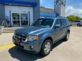 2012 Ford Escape XLT V6 4WD Photo 1