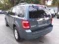 2012 Ford Escape Limited V6 Photo 5