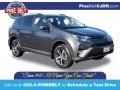 2017 Toyota RAV4 XLE Photo 1