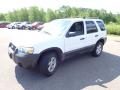 2005 Ford Escape XLT V6 4WD Photo 7