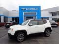 2017 Jeep Renegade Limited 4x4 Photo 1