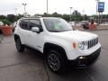 2017 Jeep Renegade Limited 4x4 Photo 10