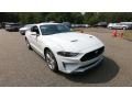 2020 Ford Mustang EcoBoost Premium Fastback Photo 1