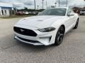 2020 Ford Mustang EcoBoost Premium Fastback Photo 1