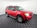 2008 Ford Escape Limited 4WD Photo 3