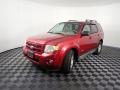 2008 Ford Escape Limited 4WD Photo 8