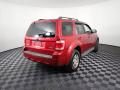 2008 Ford Escape Limited 4WD Photo 16