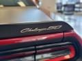 2020 Dodge Challenger R/T Scat Pack 50th Anniversary Edition Photo 10
