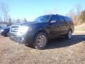 2011 Ford Expedition EL Limited 4x4 Photo 8