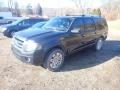 2011 Ford Expedition EL Limited 4x4 Photo 9