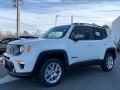 2021 Jeep Renegade Limited 4x4 Photo 1
