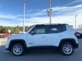 2021 Jeep Renegade Limited 4x4 Photo 4