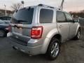 2010 Ford Escape Limited V6 4WD Photo 3