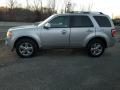 2010 Ford Escape Limited V6 4WD Photo 6
