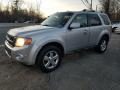 2010 Ford Escape Limited V6 4WD Photo 7