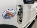 2021 Ford F550 Super Duty XL Regular Cab 4x4 Chassis Dump Truck Photo 10
