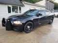 2012 Dodge Charger Police Photo 9