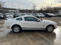 2009 Ford Mustang V6 Coupe Photo 11