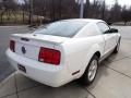 2009 Ford Mustang V6 Premium Coupe Photo 5