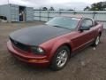 2006 Ford Mustang V6 Premium Coupe Photo 2
