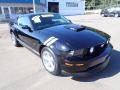 2006 Ford Mustang GT Deluxe Coupe Photo 2