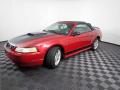 2000 Ford Mustang GT Convertible Photo 3