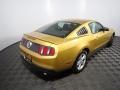 2010 Ford Mustang V6 Coupe Photo 15