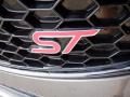 2017 Ford Focus ST Hatch Photo 12