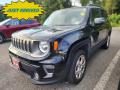 2020 Jeep Renegade Limited 4x4 Photo 1