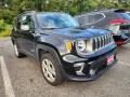 2020 Jeep Renegade Limited 4x4 Photo 2