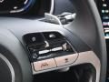 2024 Hyundai Tucson SEL Plug-In Hybrid AWD Photo 25