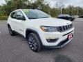 2021 Jeep Compass 80th Special Edition 4x4 Photo 21