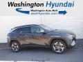 2024 Hyundai Tucson Limited AWD Photo 2