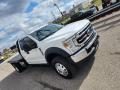 2021 Ford F450 Super Duty XL Crew Cab 4x4 Chassis Photo 2