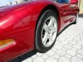 1999 Chevrolet Corvette Coupe Photo 30
