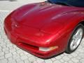 1999 Chevrolet Corvette Coupe Photo 38