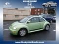 2000 Volkswagen New Beetle GLX 1.8T Coupe 2000 Volkswagen New Beetle GLX 1.8T Coupe