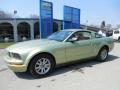 2005 Ford Mustang V6 Deluxe Coupe 2005 Ford Mustang V6 Deluxe Coupe